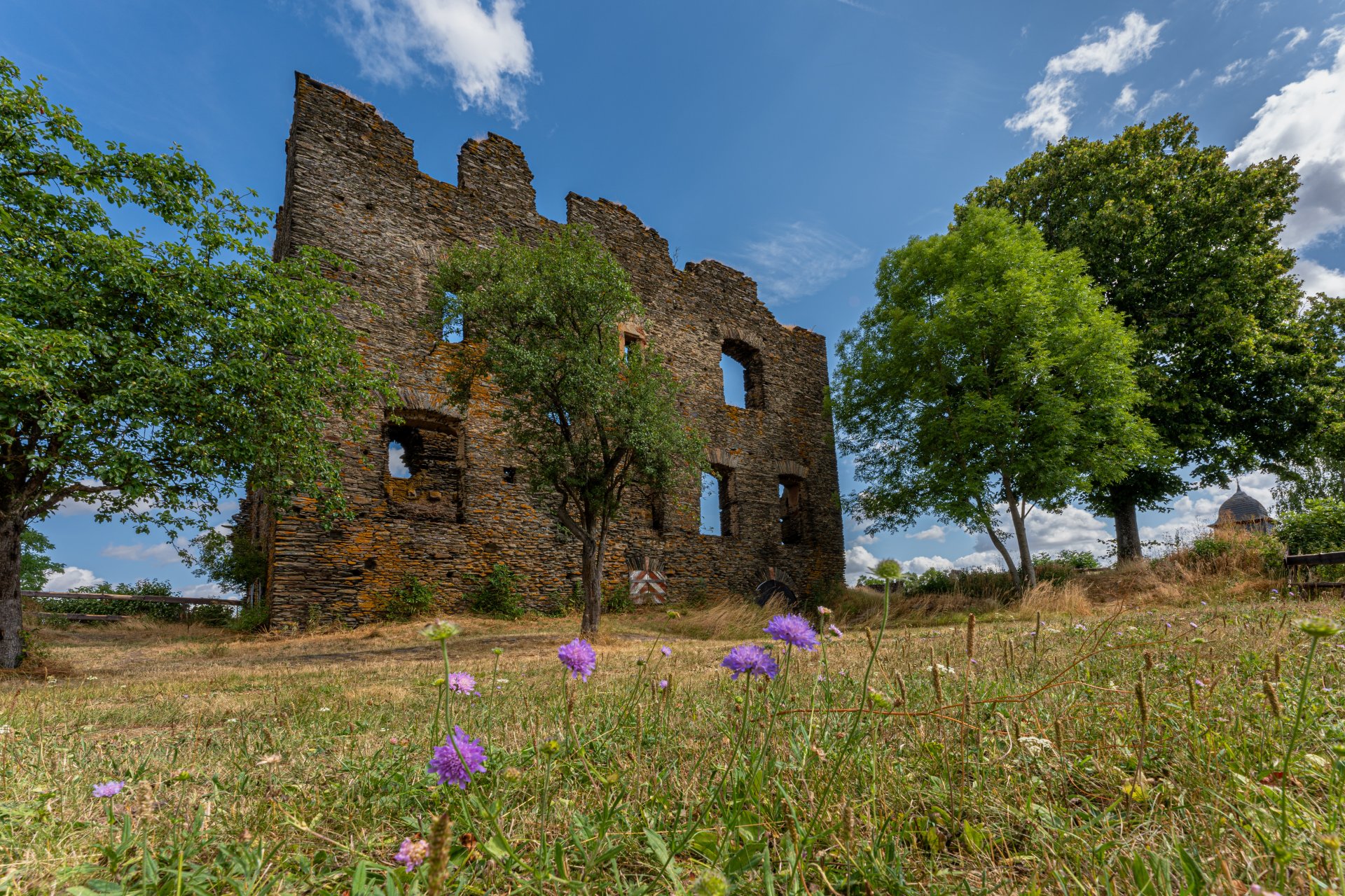 Burg Dill mit Blumen im Vordergrund