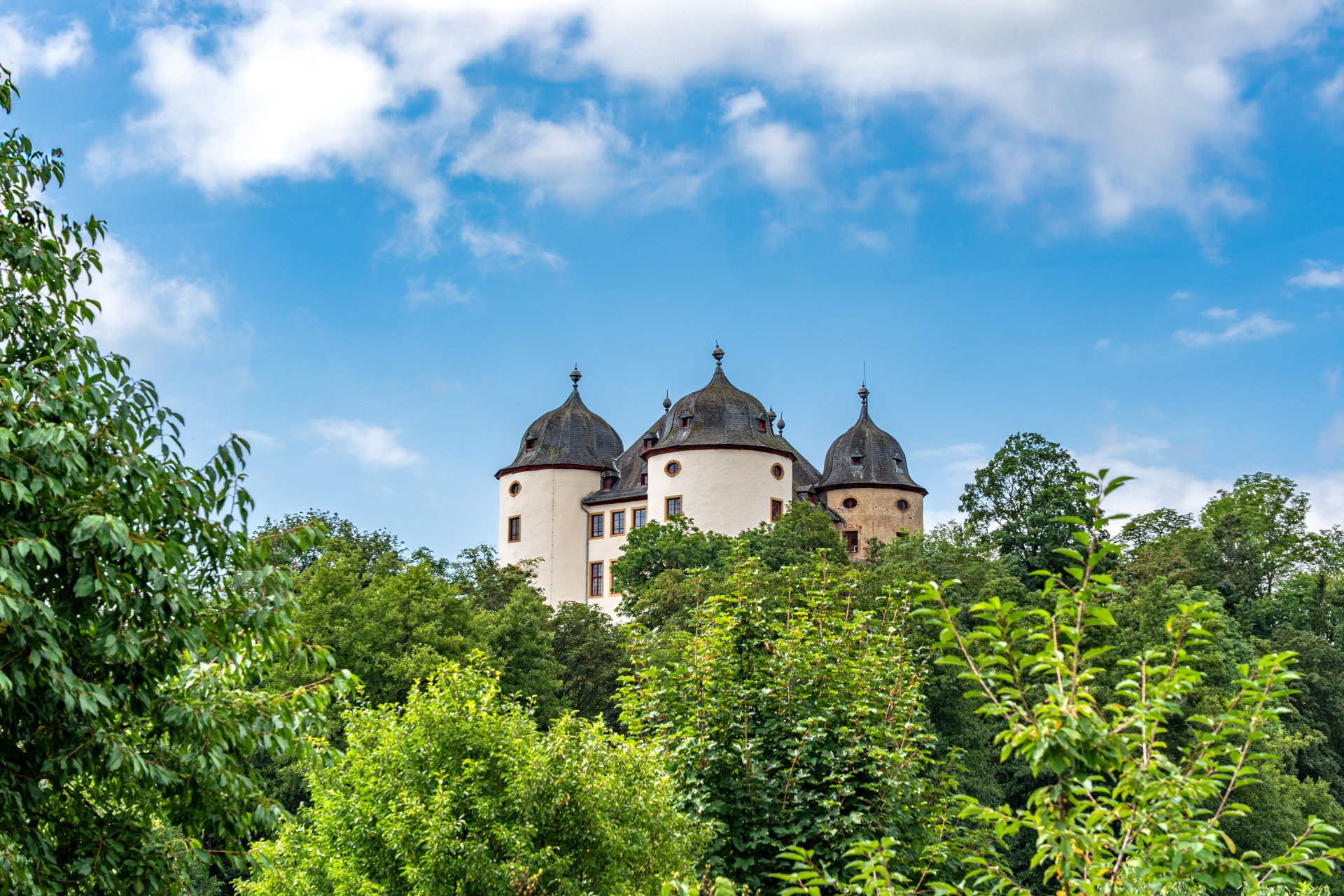 Blick auf das Schloss in Gemünden